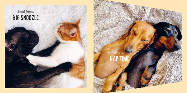 Chonk and Smol: Puppers, Woofers, Floofers and Frens - Hardback