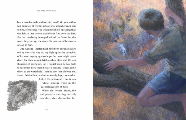 The Butterfly Lion - Hardback