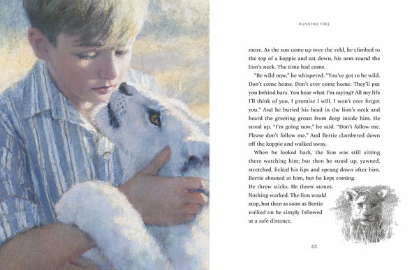 The Butterfly Lion - Hardback