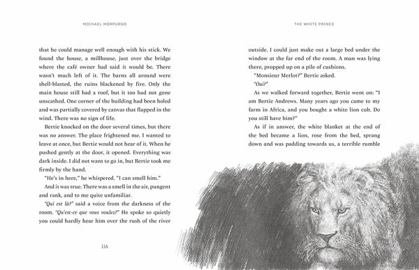 The Butterfly Lion - Hardback