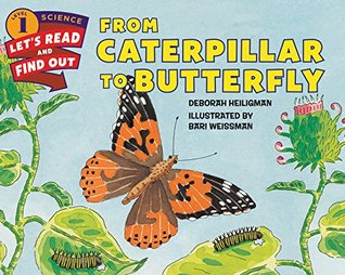 LRFO Stage 1 : From Caterpillar to Butterfly - Paperback