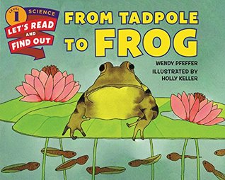 LRFO Stage 1 : From Tadpole to Frog - Paperback