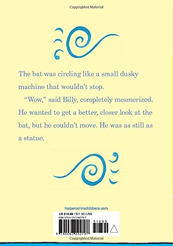Billy Miller Makes a Wish - Hardback