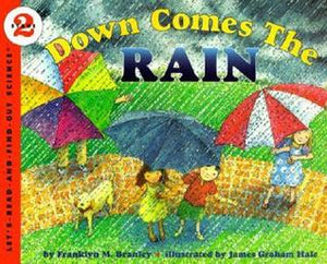 STAGE 2 : Down Comes the Rain - Paperback