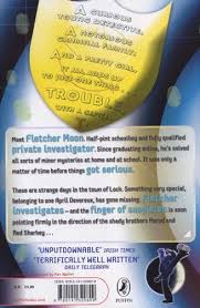 Half Moon Investigations - Paperback - Kool Skool The Bookstore