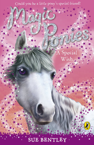 Magic Ponies # 2 : A Special Wish - Paperback