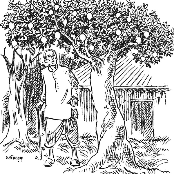 Puffin Classics : Another Dozen Stories - Paperback