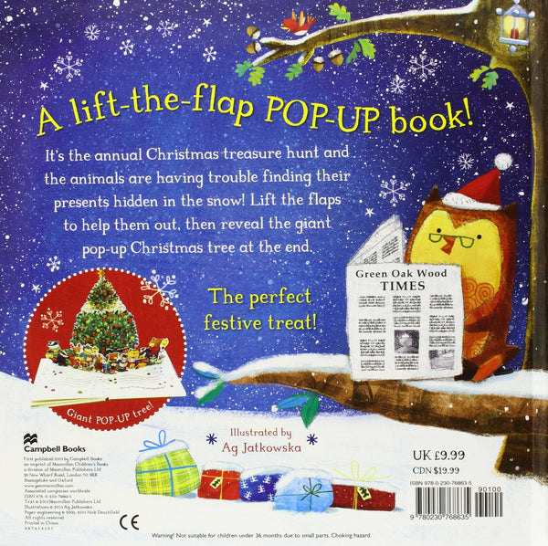 The Christmas Treasure Hunt: A pop-up book (Lift the Flap Book) - Hardback