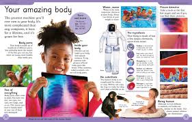 First Human Body Encyclopedia - Paperback - Kool Skool The Bookstore