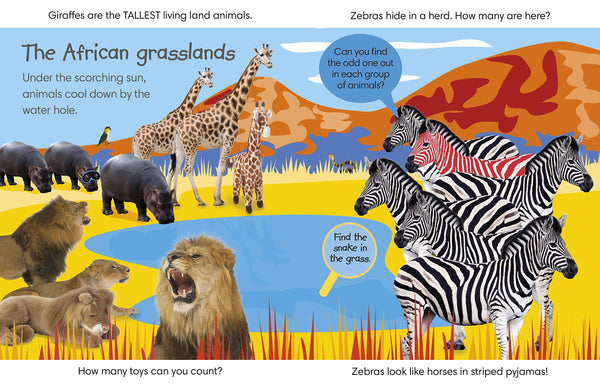 Spot the Difference Animals: Can you Find the Odd One Out? - Board book