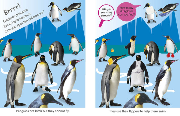Spot the Difference Animals: Can you Find the Odd One Out? - Board book