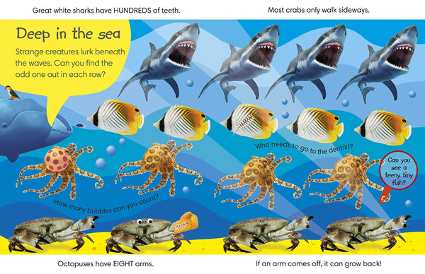 Spot the Difference Animals: Can you Find the Odd One Out? - Board book