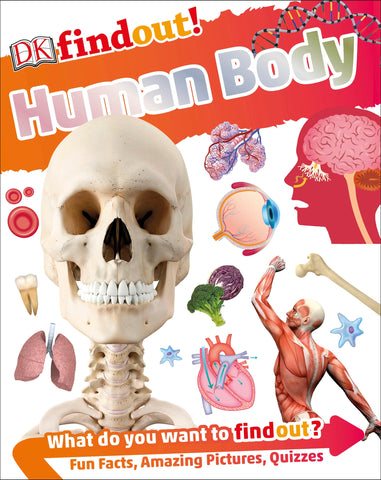 DK Findout! : Human Body - Paperback - Kool Skool The Bookstore