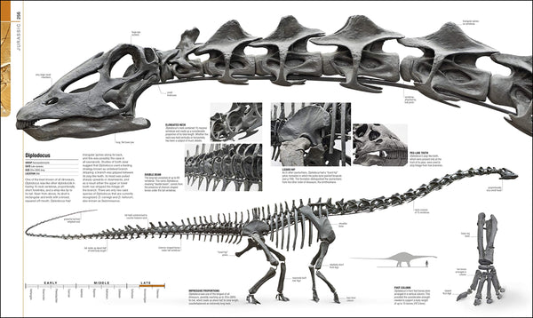 DK : Dinosaurs and Prehistoric Life - Hardback - Kool Skool The Bookstore
