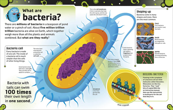 DK The Bacteria Book - Hardback