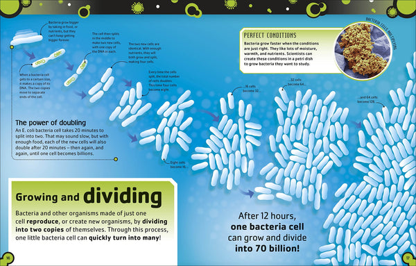 DK The Bacteria Book - Hardback
