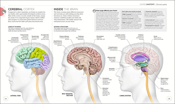 Science of Yoga: Understand the Anatomy and Physiology to Perfect your Practice - Flexibound