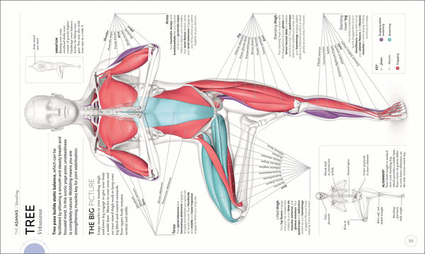 Science of Yoga: Understand the Anatomy and Physiology to Perfect your Practice - Flexibound