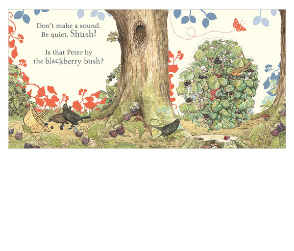 Lift the Flap Book : Where is Peter Rabbit? - Board book