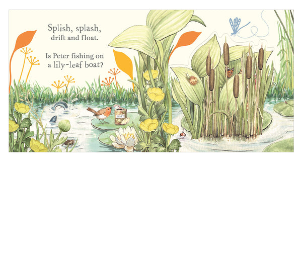 Lift the Flap Book : Where is Peter Rabbit? - Board book