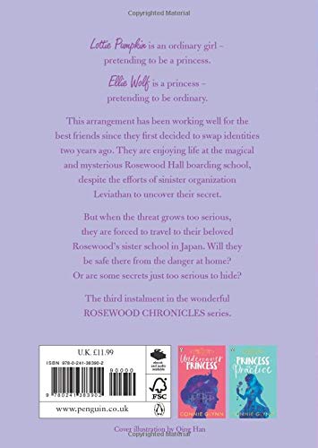 The Rosewood Chronicles #3 : The Lost Princess - Paperback