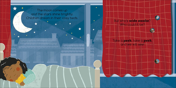 Flip Flap Find! Night-time Animals - Board Book