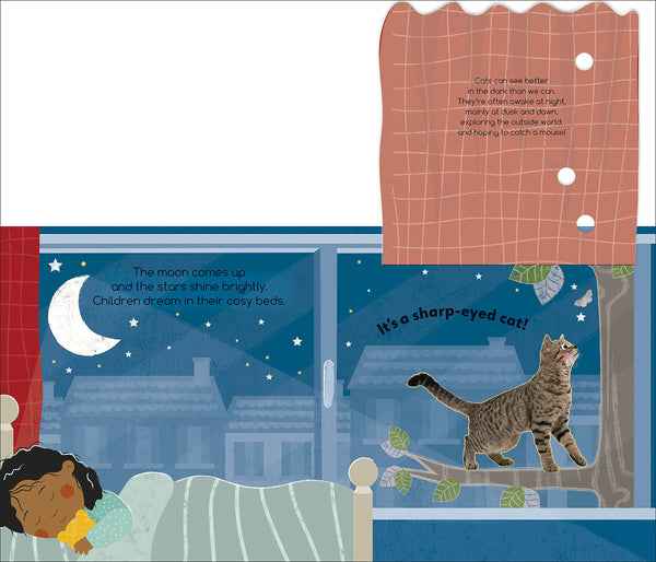 Flip Flap Find! Night-time Animals - Board Book