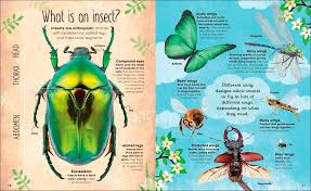 DK : The Book of Brilliant Bugs - Hardback - Kool Skool The Bookstore