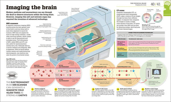 DK : How the Brain Works: The Facts Visually Explained - Hardback - Kool Skool The Bookstore