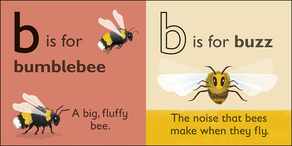 DK : B is for Bee - Board Book - Kool Skool The Bookstore