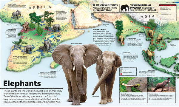 What's Where on Earth? Animal Atlas : The World's Wildlife as You've Never Seen it Before - Hardback