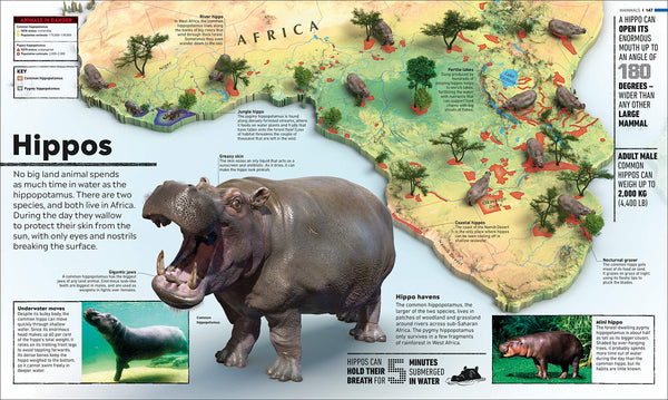 What's Where on Earth? Animal Atlas : The World's Wildlife as You've Never Seen it Before - Hardback