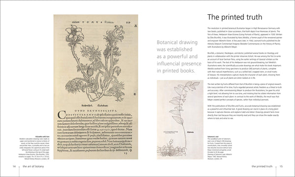 DK : Botany for the Artist - Hardback