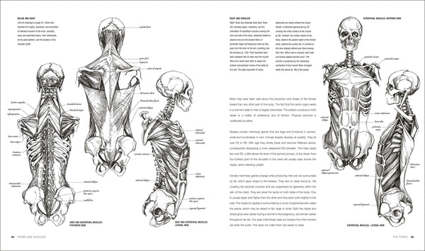 Anatomy for the Artist - Hardback