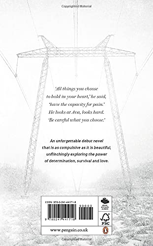 What Beauty There is #1 - Hardback