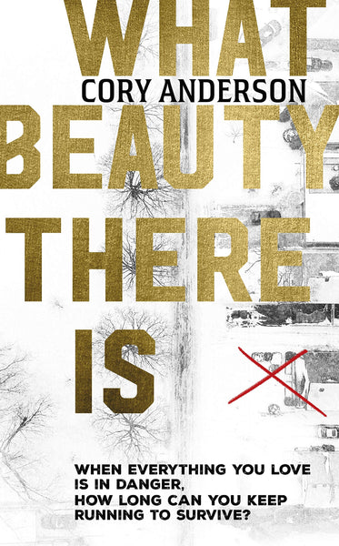 What Beauty There is #1 - Hardback