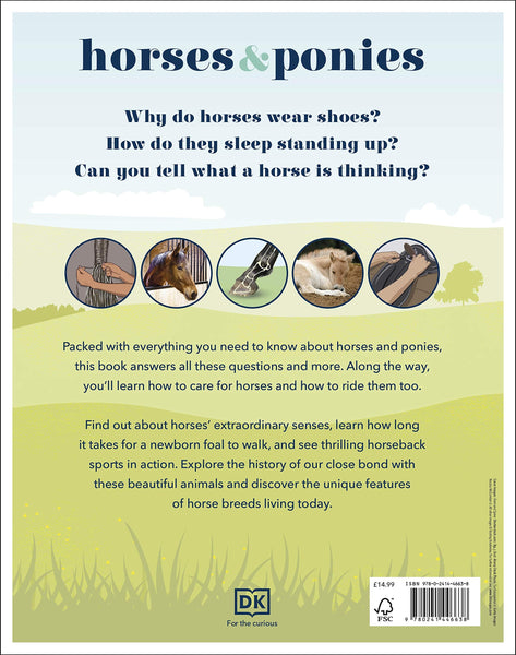 Horses & Ponies : Everything You Need to Know, From Bridles and Breeds to Jodhpurs and Jumping! - Hardcover