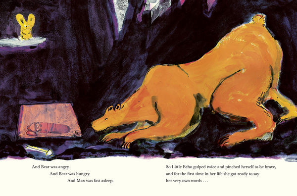 Little Echo - Hardback