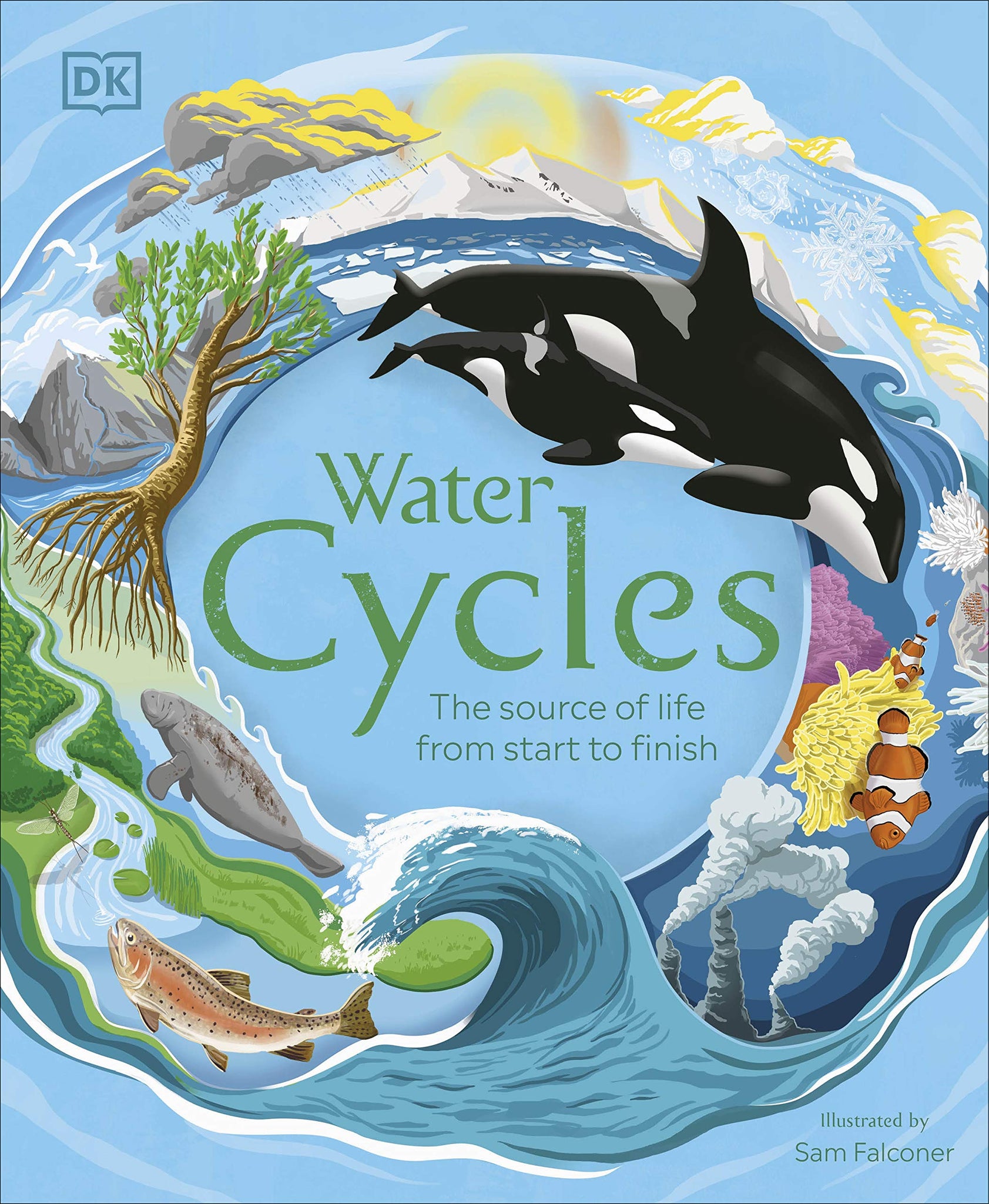 Water Cycles - Hardback