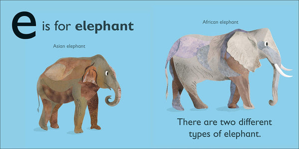 E is for Elephant - Board Book