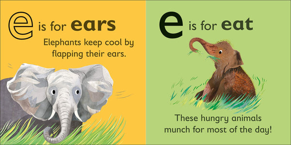 E is for Elephant - Board Book