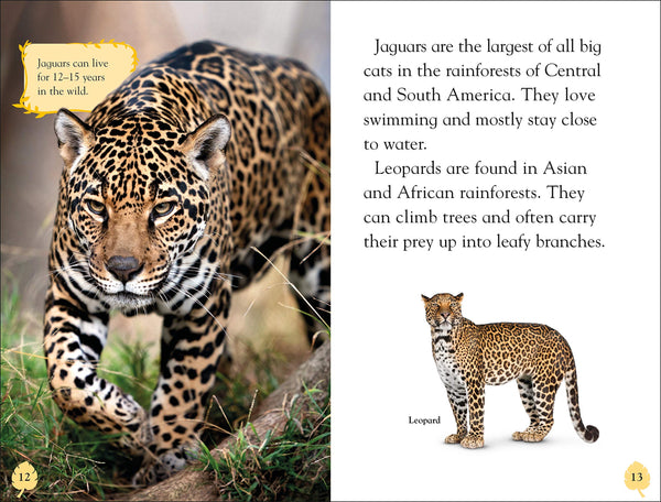 DK Reader Level 2: Rainforest Animals - Hardback