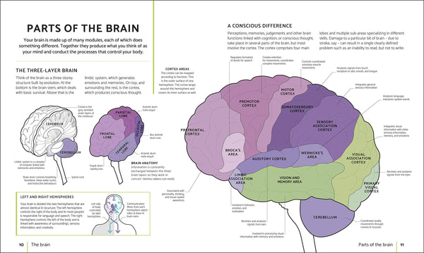 The Brain Fitness Book : Activities and Puzzles to Keep Your Mind Active and Healthy - Flexibound