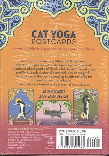 Cat Yoga Postcards - Cards