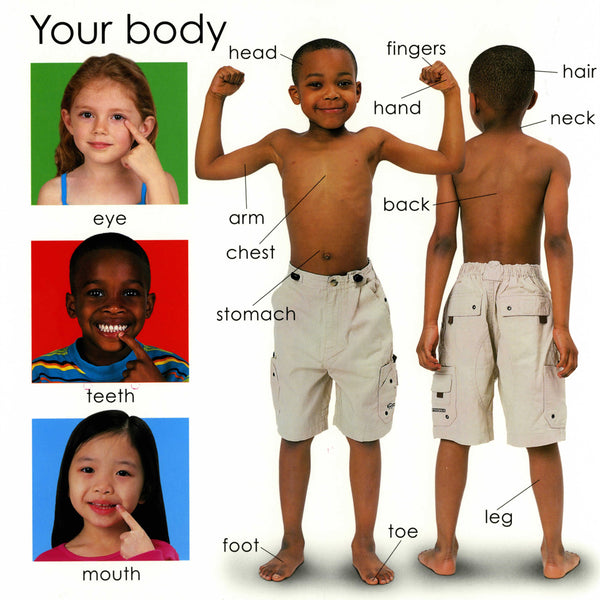 My Little Word Book - Board Book - Kool Skool The Bookstore