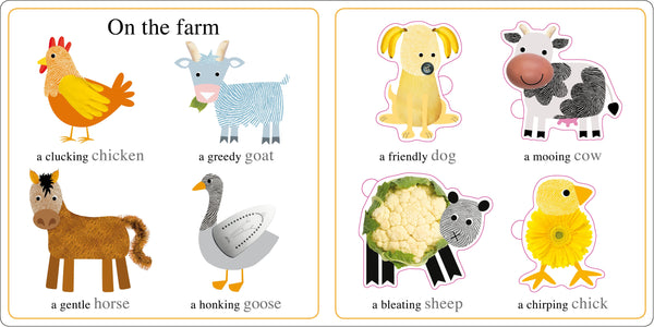 Alphaprints Animals Flash Card Book - Kool Skool The Bookstore