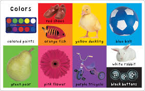 First 100 Words - Board Book - Kool Skool The Bookstore