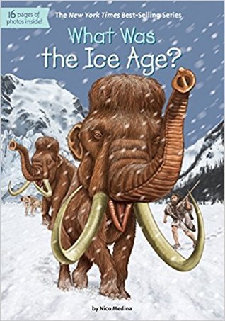 WHAT WAS THE ICE AGE? - Paperback - Kool Skool The Bookstore