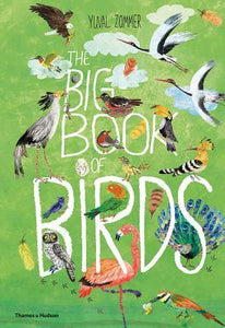 The Big Book of Birds - Hardback