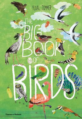 The Big Book of Birds - Hardback